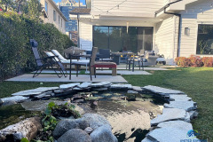 Backyard-Los-Angeles 8
