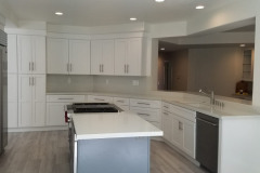 15a49219-9dda-4d81-b305-299485a4a555