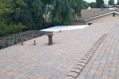 PHOTO-2019-05-11-21-50-28_1