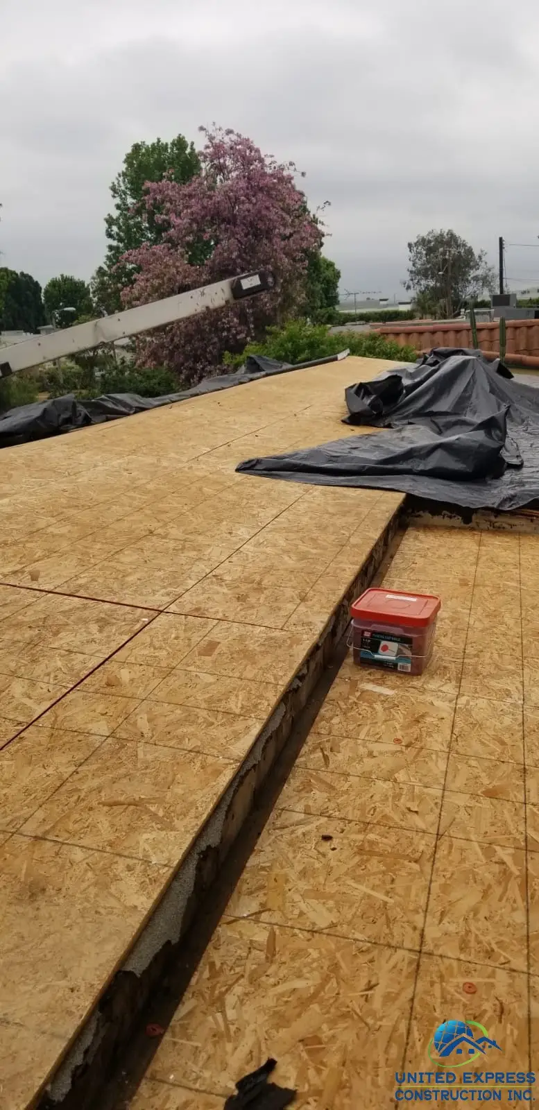 Had Termite Damage